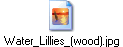 Water_Lillies_(wood).jpg
