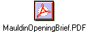 MauldinOpeningBrief.PDF