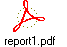 report1.pdf